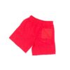 WhatsApp Image 2025-11-06 at 5.45.13 PM Red Shorts